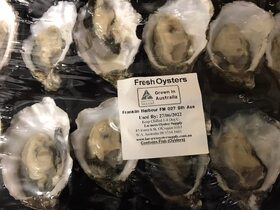 Fresh Oysters.jpg